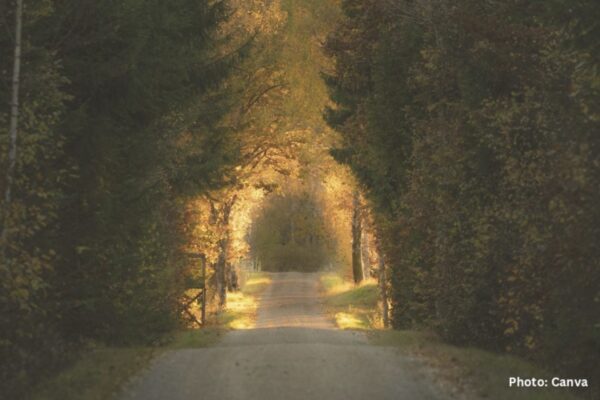 Presenting the Catholic Worldview — Judge Justly, or Do Not Judge? by Ann Ang and Pauline Wong