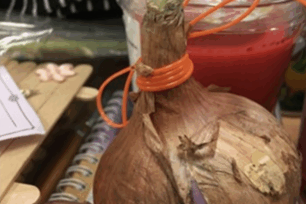 They Are God’s Children By Donna Koh