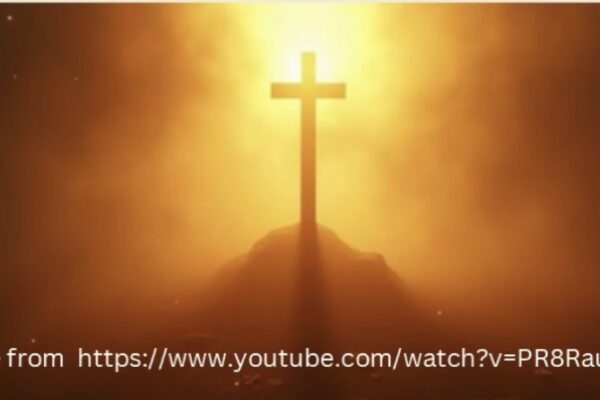 A Seed Planted, A Journey of Faith Begins by Nick Chui and Brandon Law